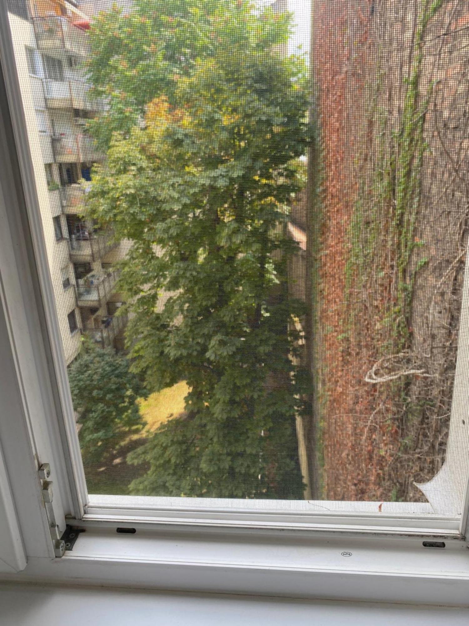 Budapest Oasis One Bedroom For Renting Exteriör bild